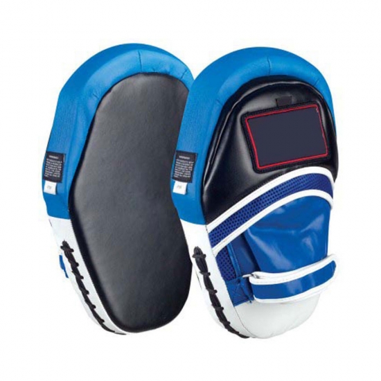 Focus pad and mits